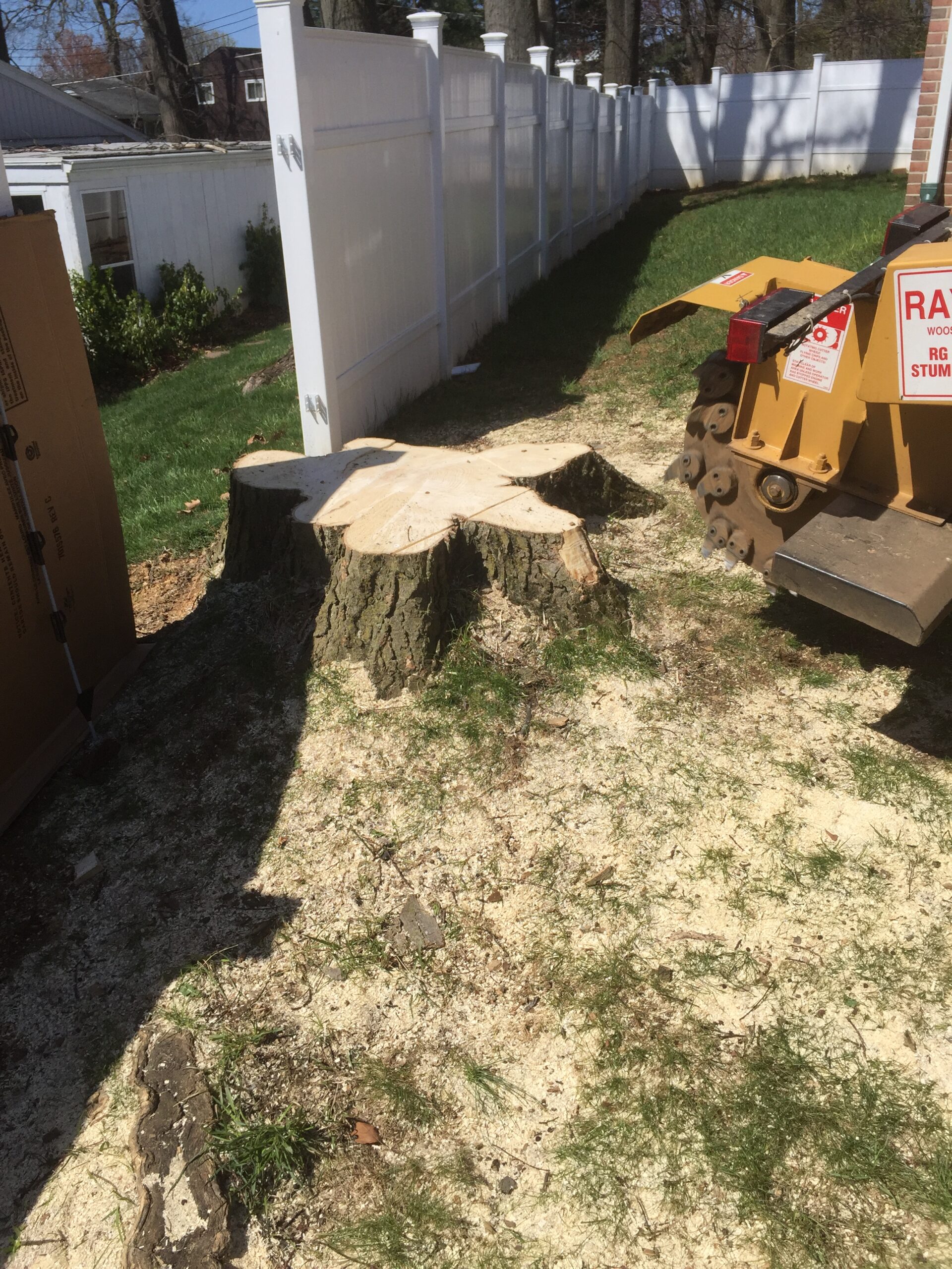 Tree Stump Removal