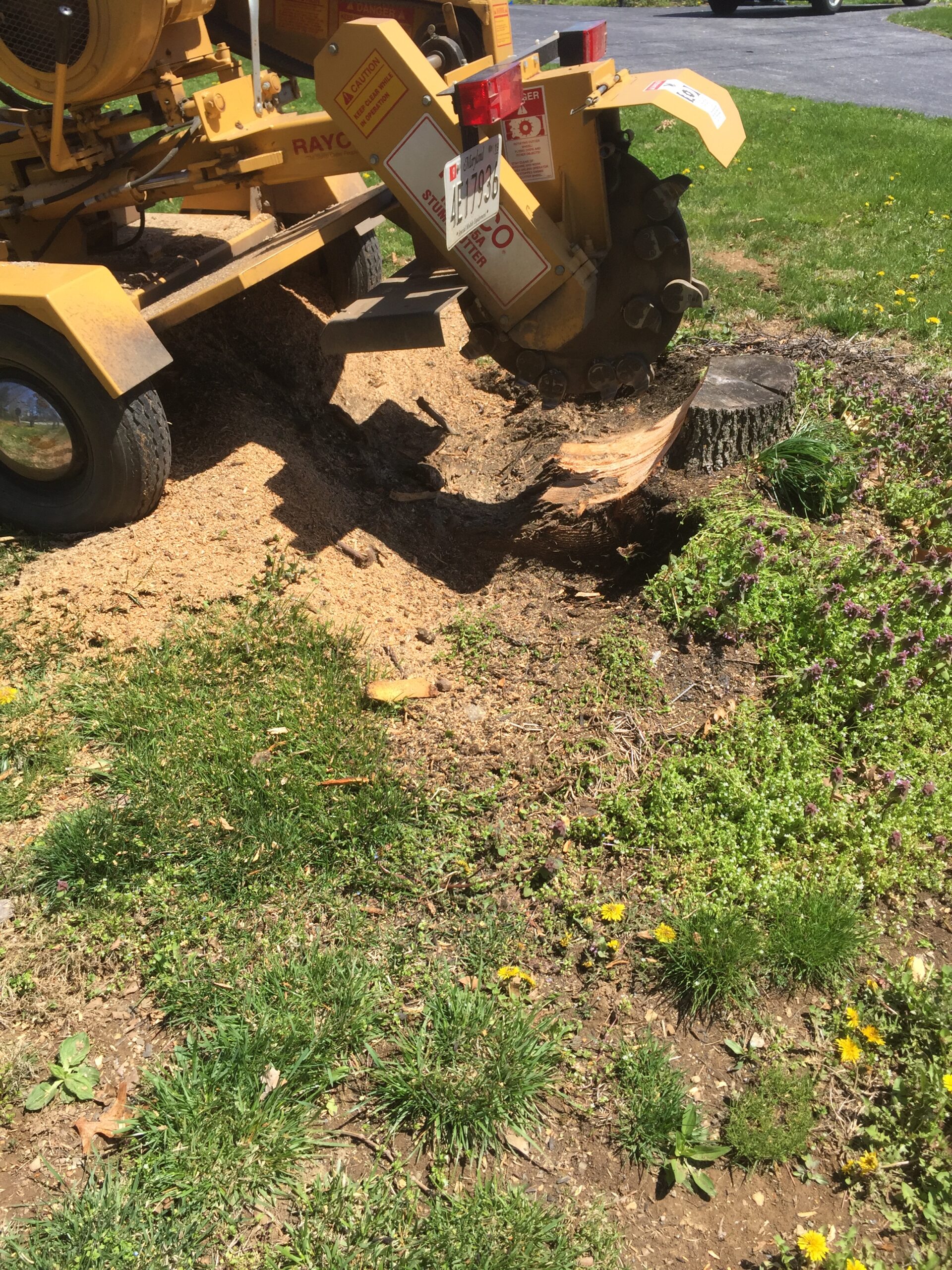 Tree Stump Grinding