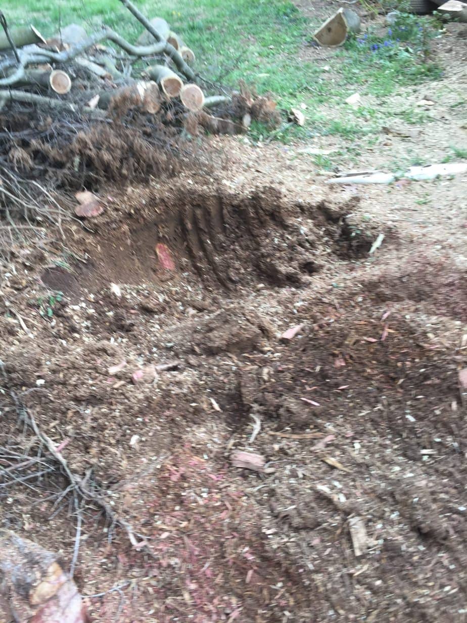 Tree Stump removal
